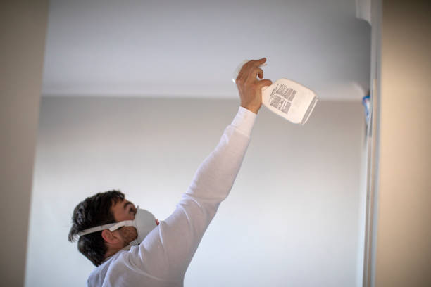 Best Mold Testing and Removal  in Sparks, NV